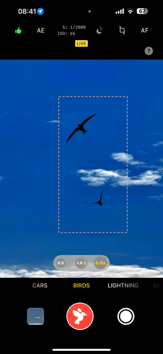 Motion Catch Screenshot 3 of 6