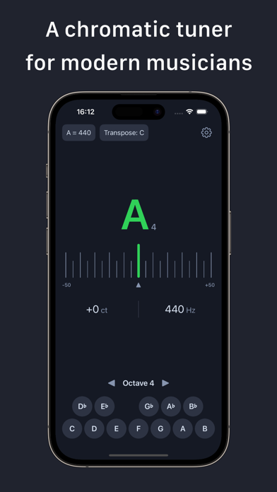 AudioPitch - Tuner Screenshot