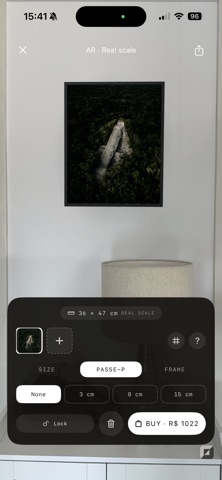 MyFrame iPhone screenshot