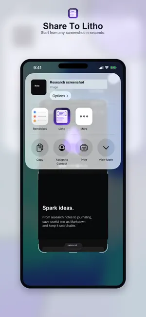 Litho: Screenshot to Obsidian screenshot 1