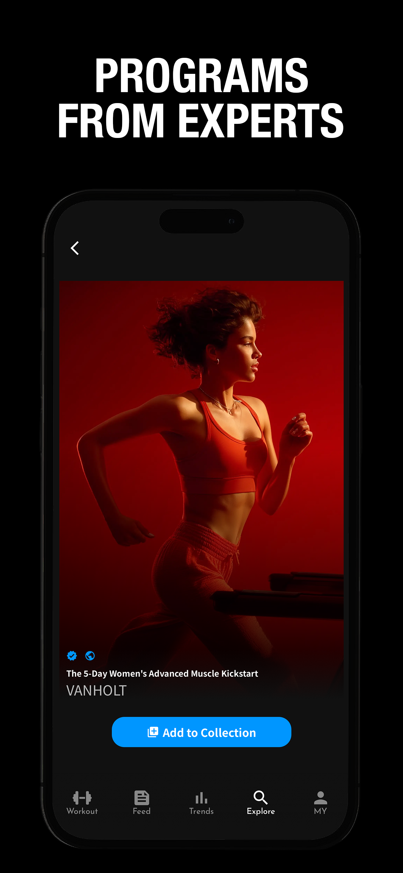 Vanholt Fitness: Gym & Workout