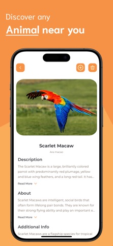Animal Identifier - AI iPhone screenshot
