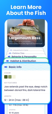 AI Fish Identifier by Picture iPhone screenshot