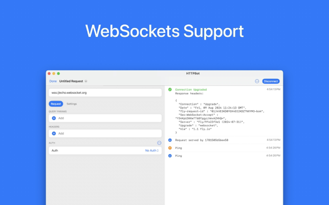 ‎HTTPBot: API & HTTP Client Screenshot