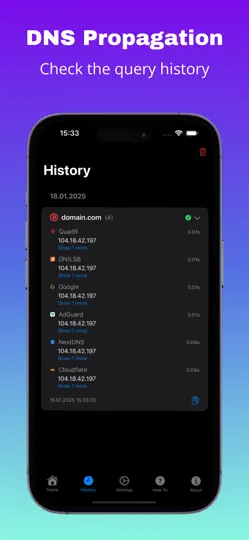 Capture d'écran de DNS Propagation sur iPhone 4