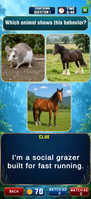 Animals Trivia screenshot 4