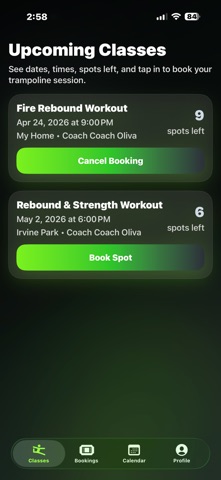 BounceEvolve Screenshot 1 of 4