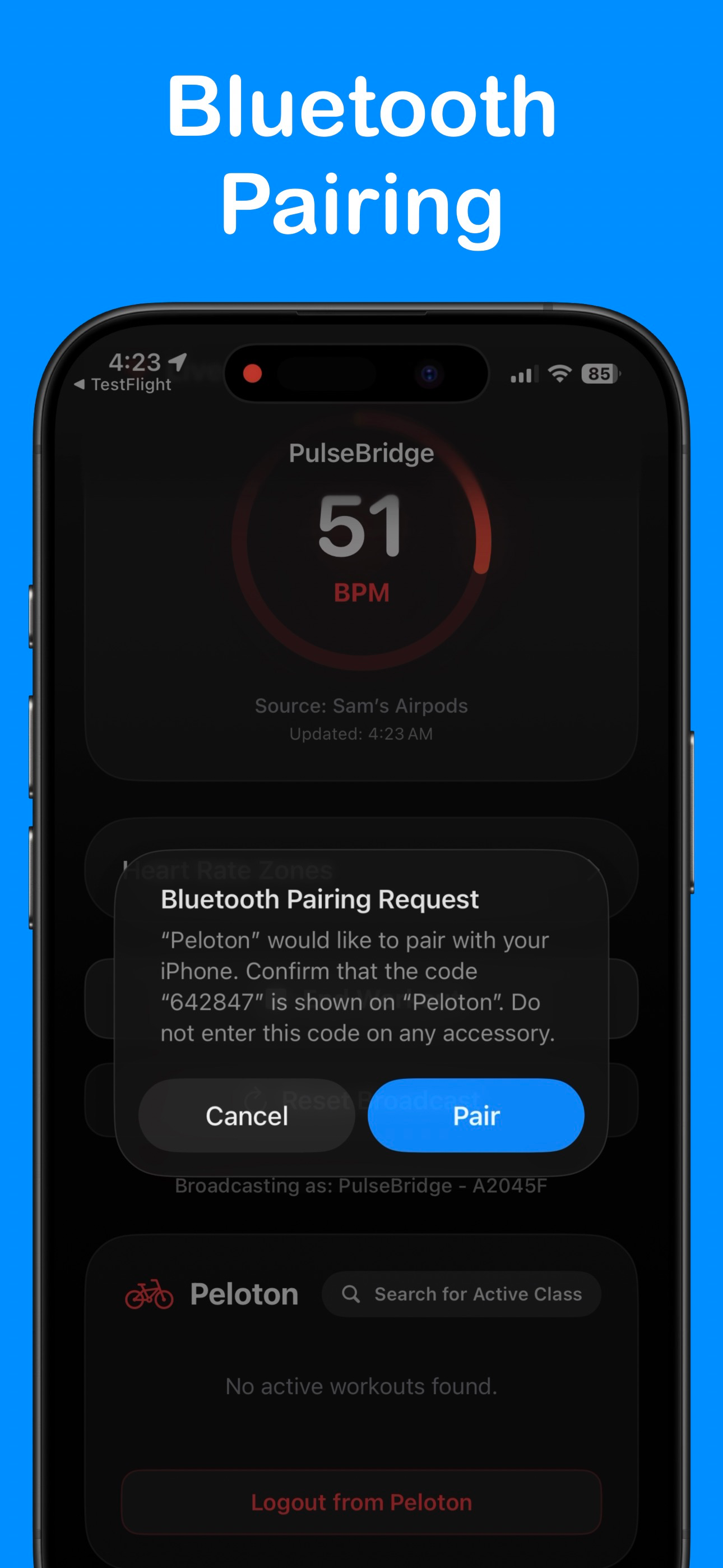 PulseBridge