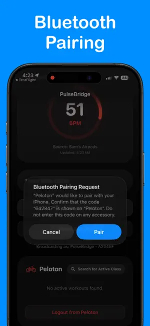 PulseBridge screenshot 4