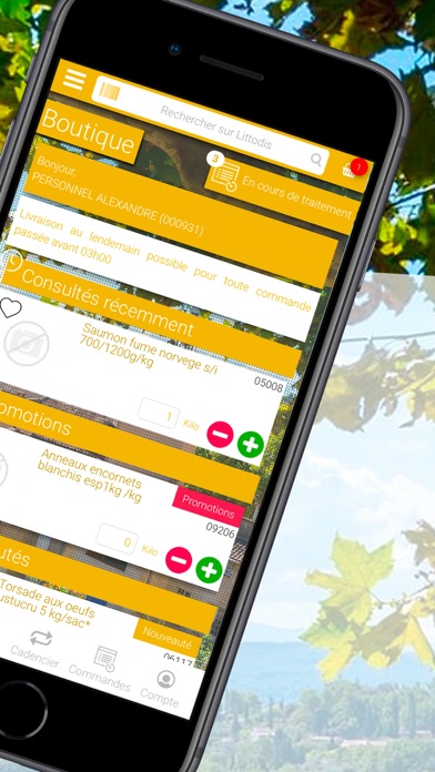 Littodis Screenshot