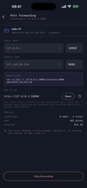 Network Tools: Net Toolkit screenshot 4