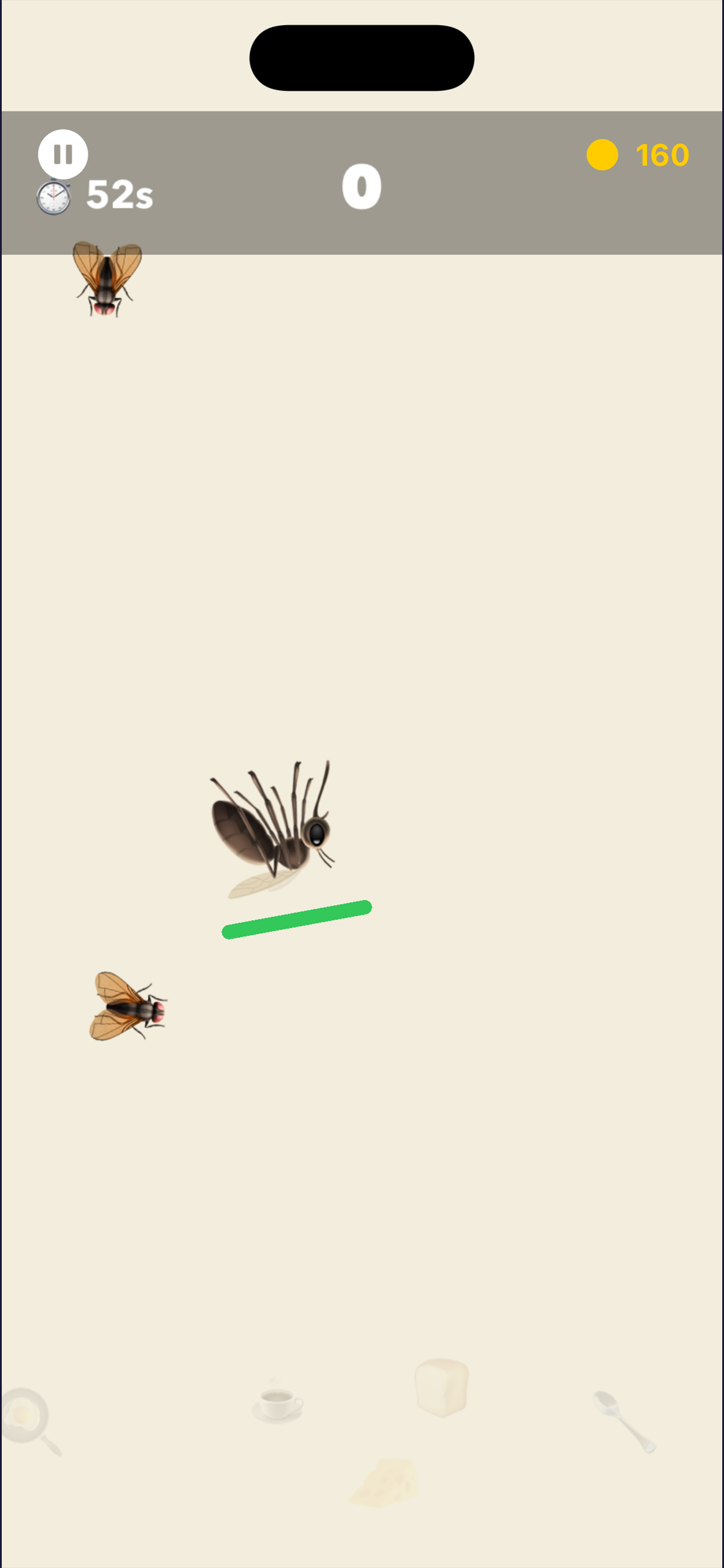 Catch The Housefly