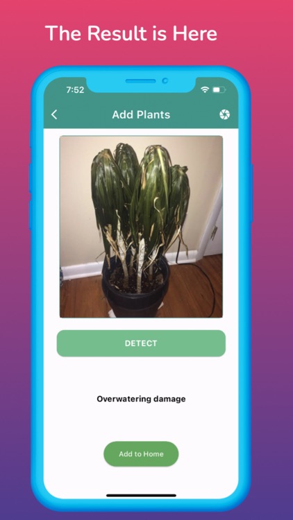 Plant Disease detector