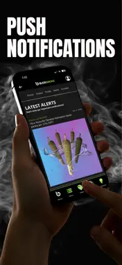 BUDSSMOKE screenshot 4