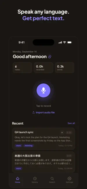 Voice Notes: Any Language screenshot 1