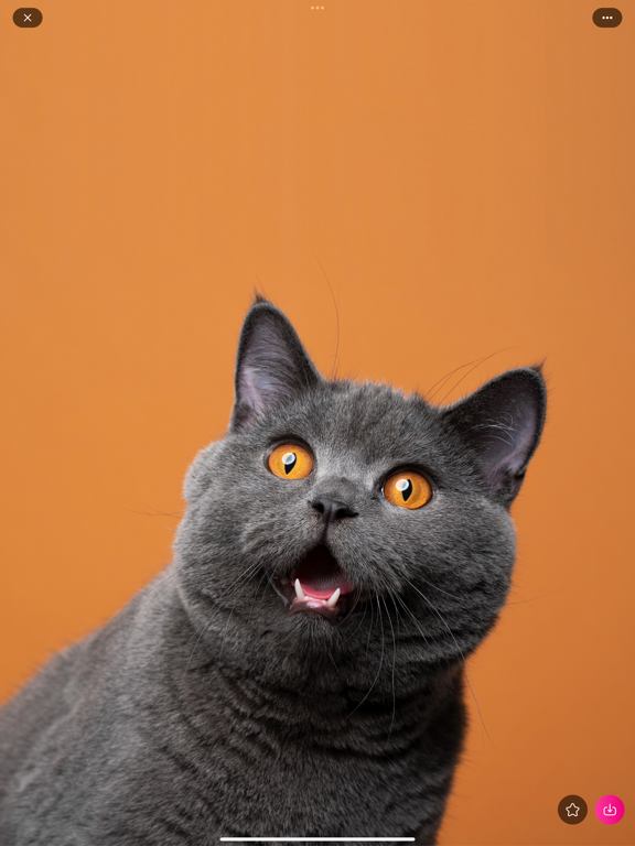 VIBE 4K Wallpapers Cool Screen iPad screenshot 8 - Entertainment app