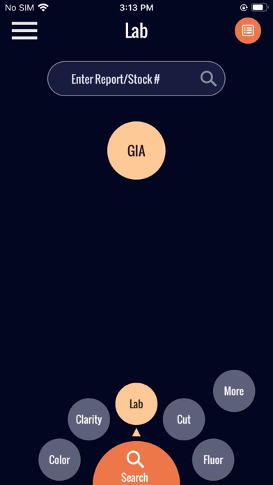 RADIIA Screenshot