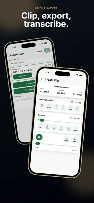 LAABS Audio screenshot 4