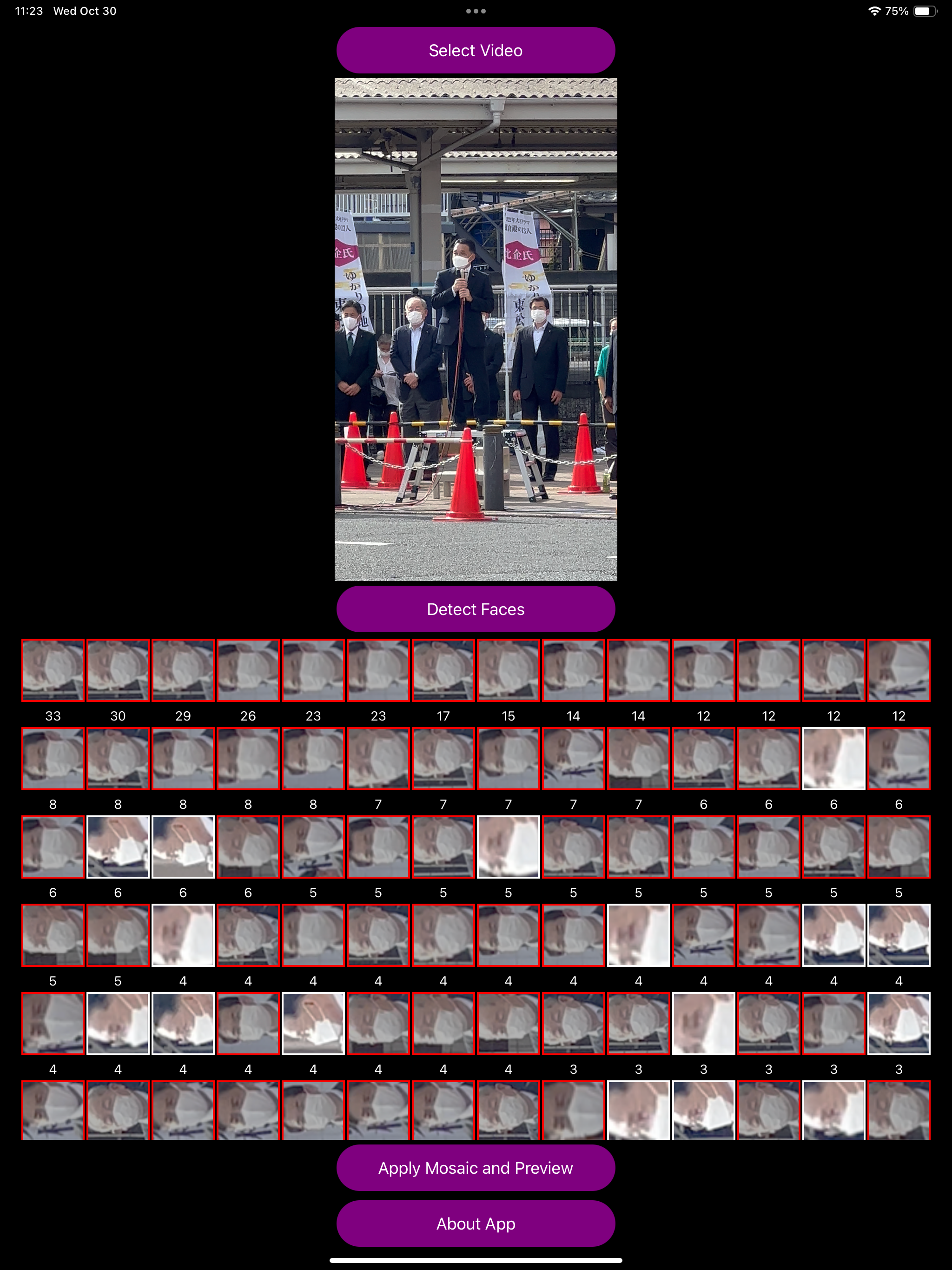 Useful Video Mosaic PRO