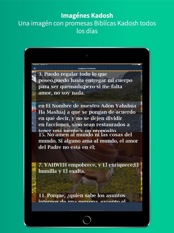 Biblia Kadosh iPad screenshot 4 - Reference app