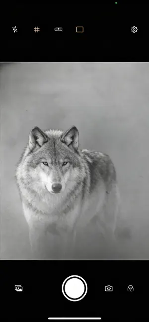 MonoCam B&W screenshot 1