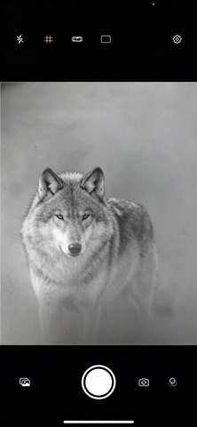 MonoCam B&W Screenshot 1 of 3