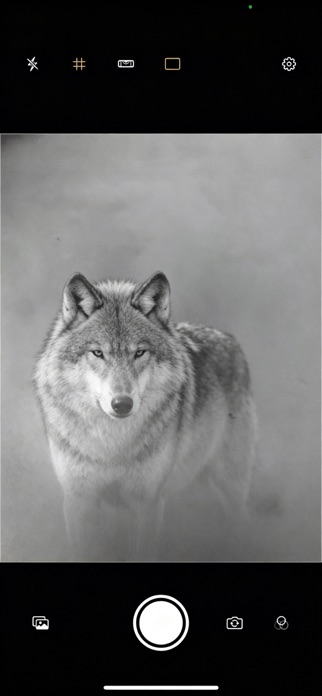 MonoCam B&W Screenshot 1 of 3