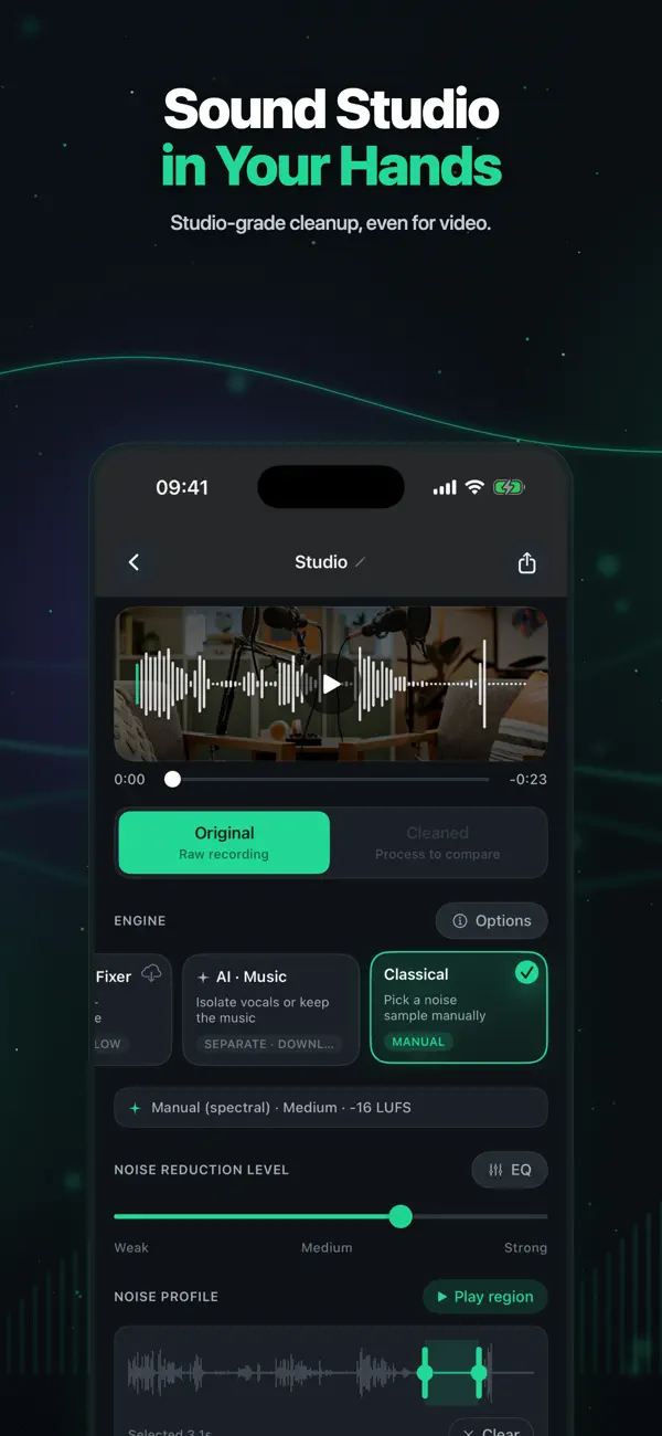 Denoise: AI Voice Cleanup Screenshot 4