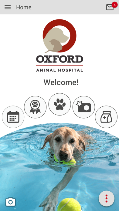 Oxford Animal Hospital Screenshot