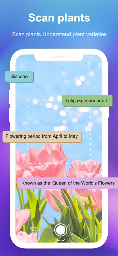 SnapAI: Scan Anything screenshot 3
