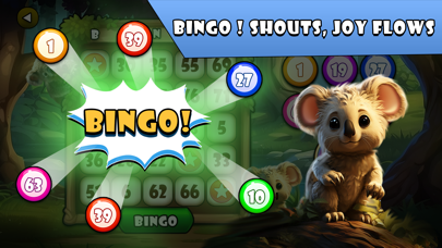 Koala Go Quest Casino Screenshot