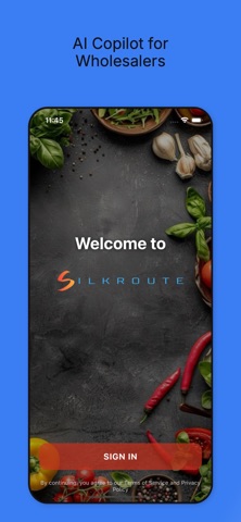 SilkRoute AI - B2B Wholesalers screenshot