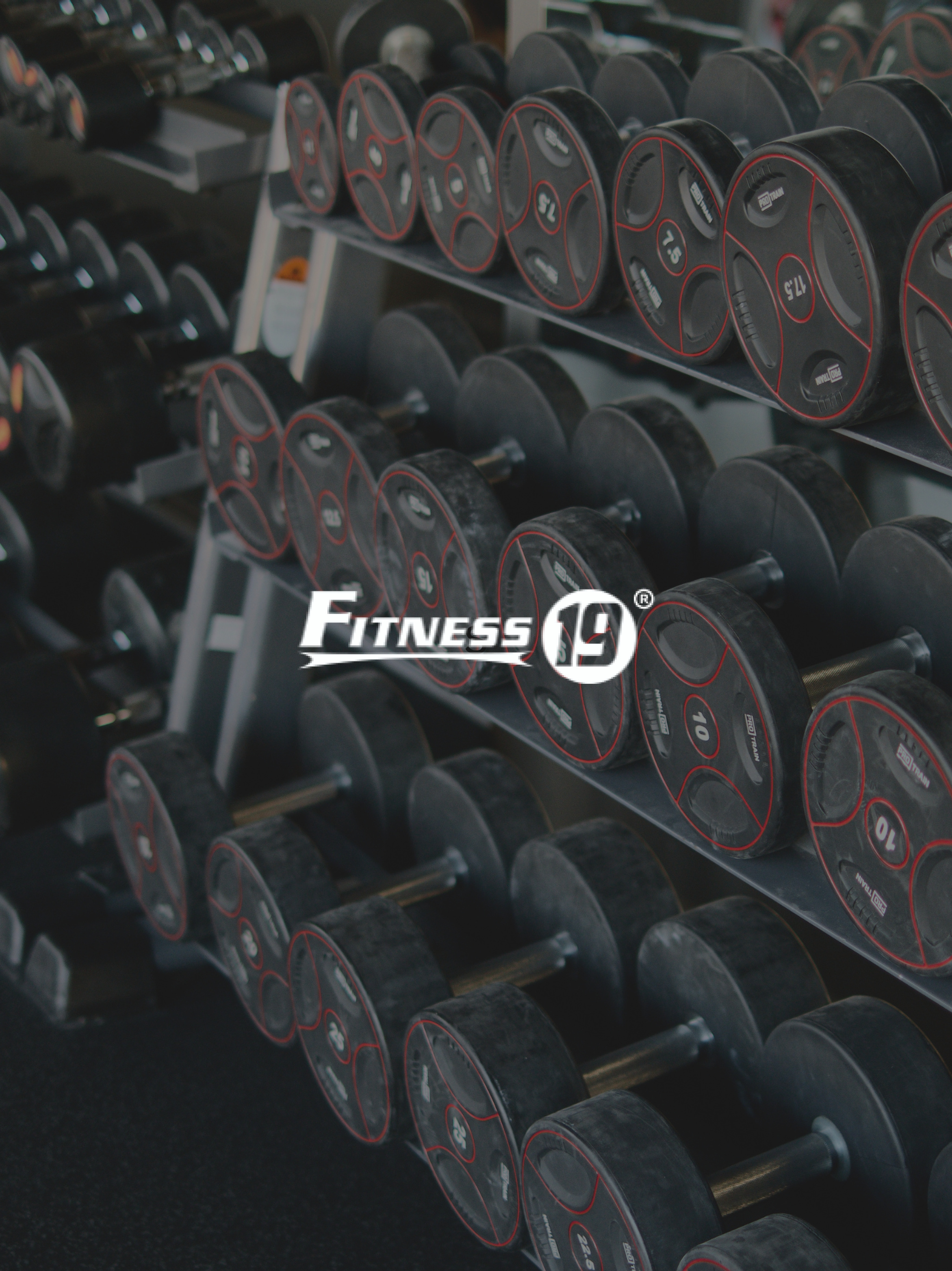 Fitness 19 MI