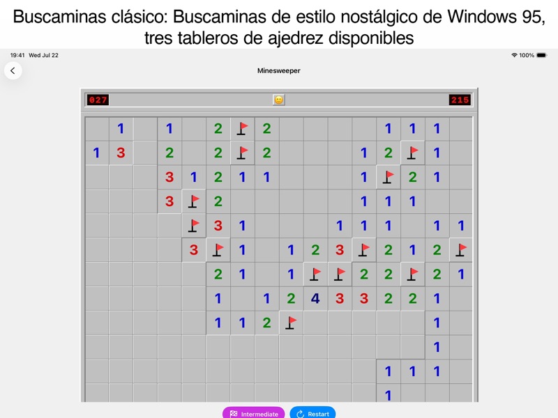 Juegos sin red - Snake,Minas screenshot 10