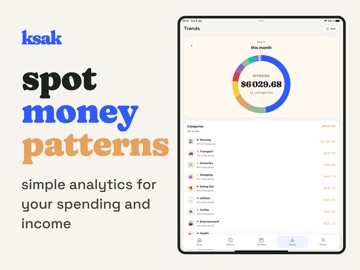 ksak: Income & Expense Tracker iPad screenshot