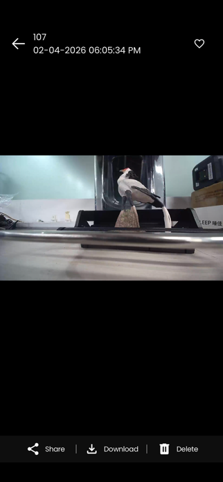 Perky-Pet Smart Camera Feeder Screenshot 6 of 6