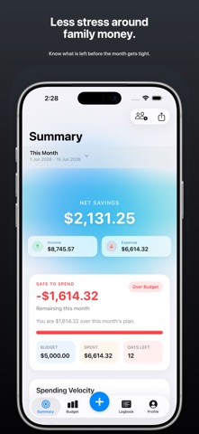 FamilyFund: Family Budget screenshot