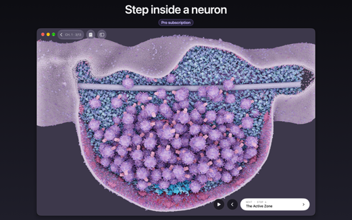 CellWalk screenshot 16