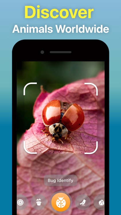Identify Anything AI Scanner