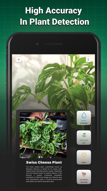 Plant Recognition App