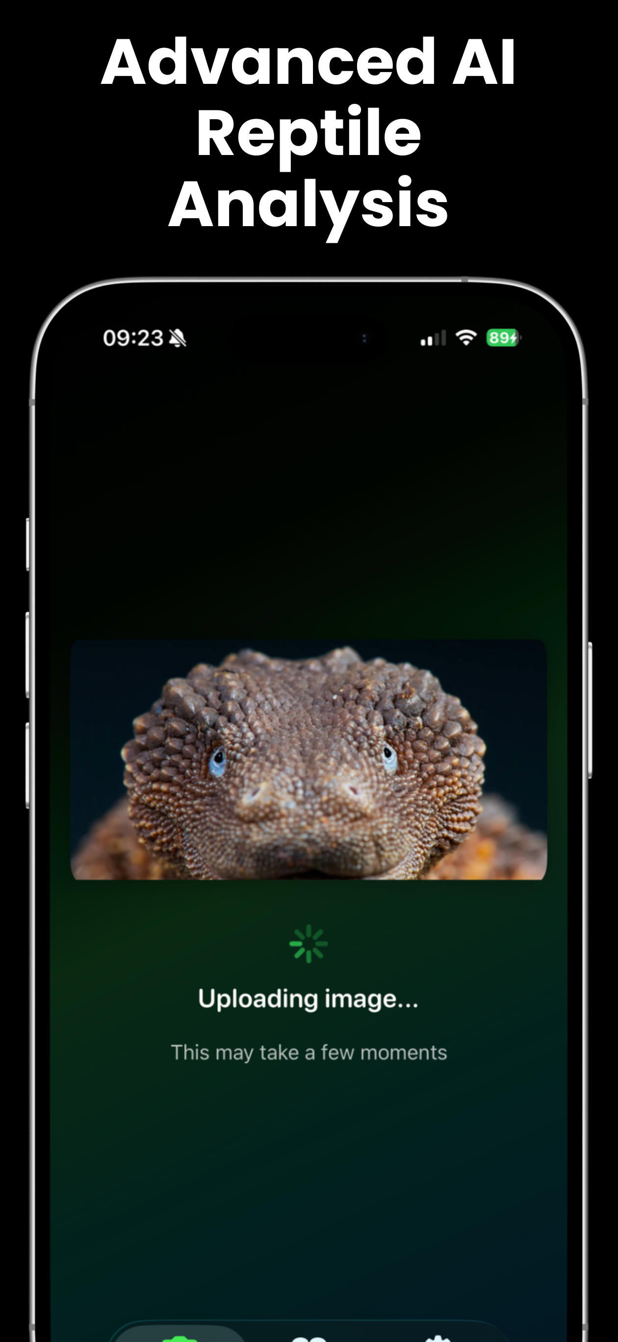 Reptile ID - Snake Identifier
