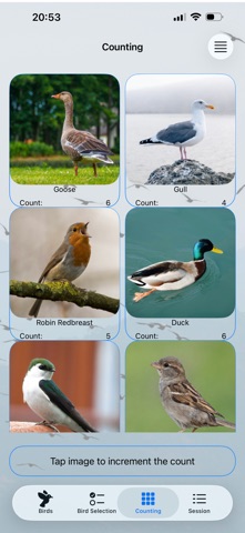 Quick Bird Counter screenshot