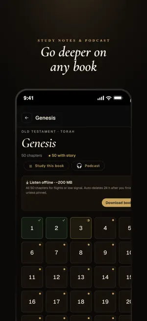 Bible Storyteller: Audio screenshot 2