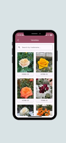 Interplant Roses screenshot