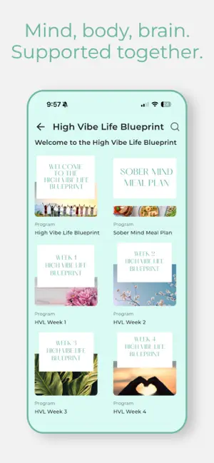 High Vibe Life App screenshot 3