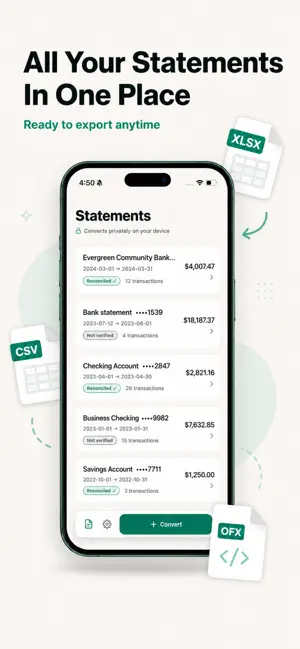 Bank Statement Converter Excel screenshot 4