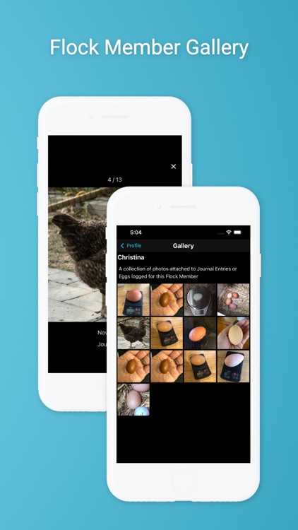 Flockstar screenshot-4