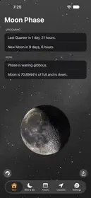 Phase+ 1