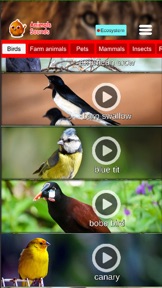Animals Sounds Pro screenshot