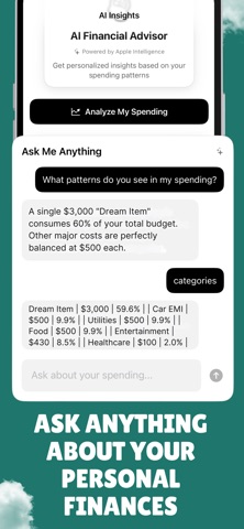 Account Manager : Clear Budget Screenshot 3 of 5